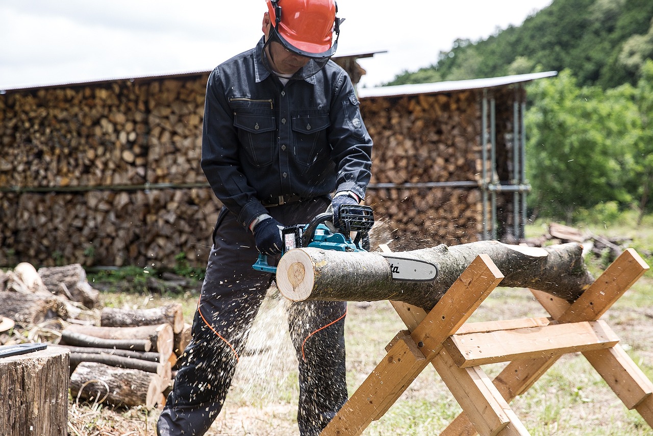 chainsaw, worker, ppe